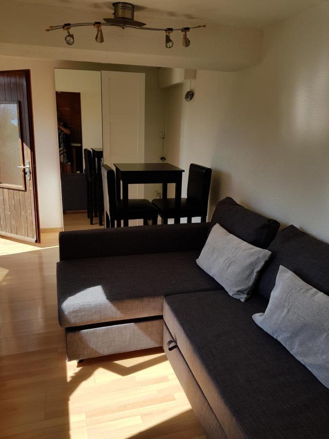 Chalet Le Muguet Villa Ovronnaz Luaran gambar